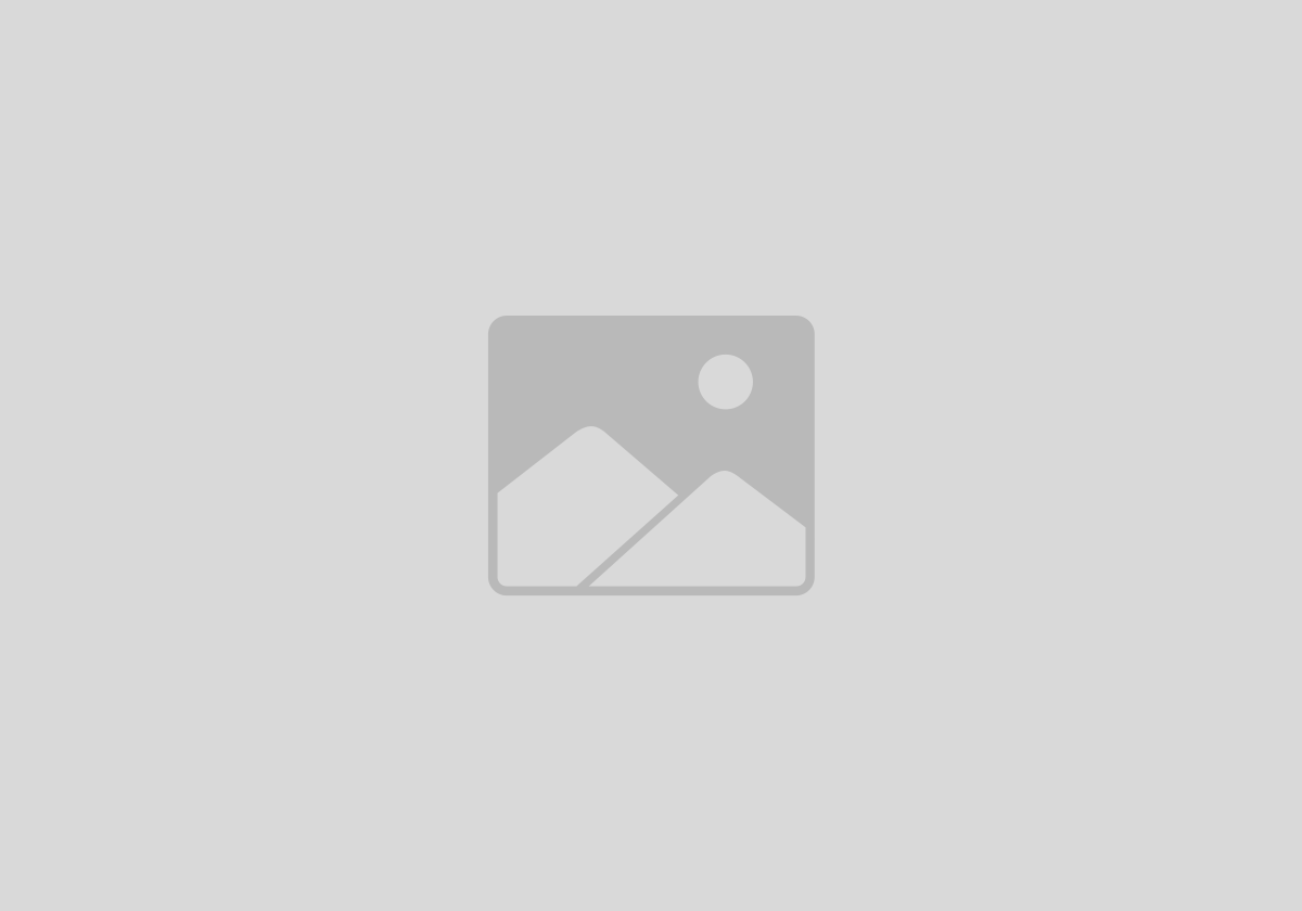How to Remove Preview Viewport